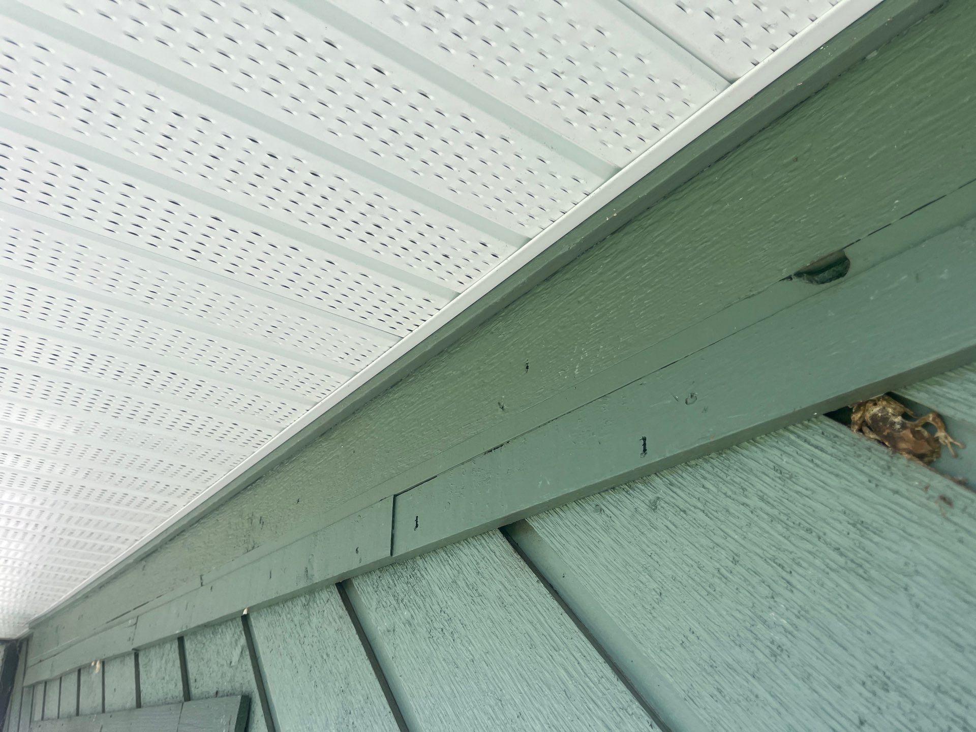 Project in Palm Harbor by Bayshore Exteriors