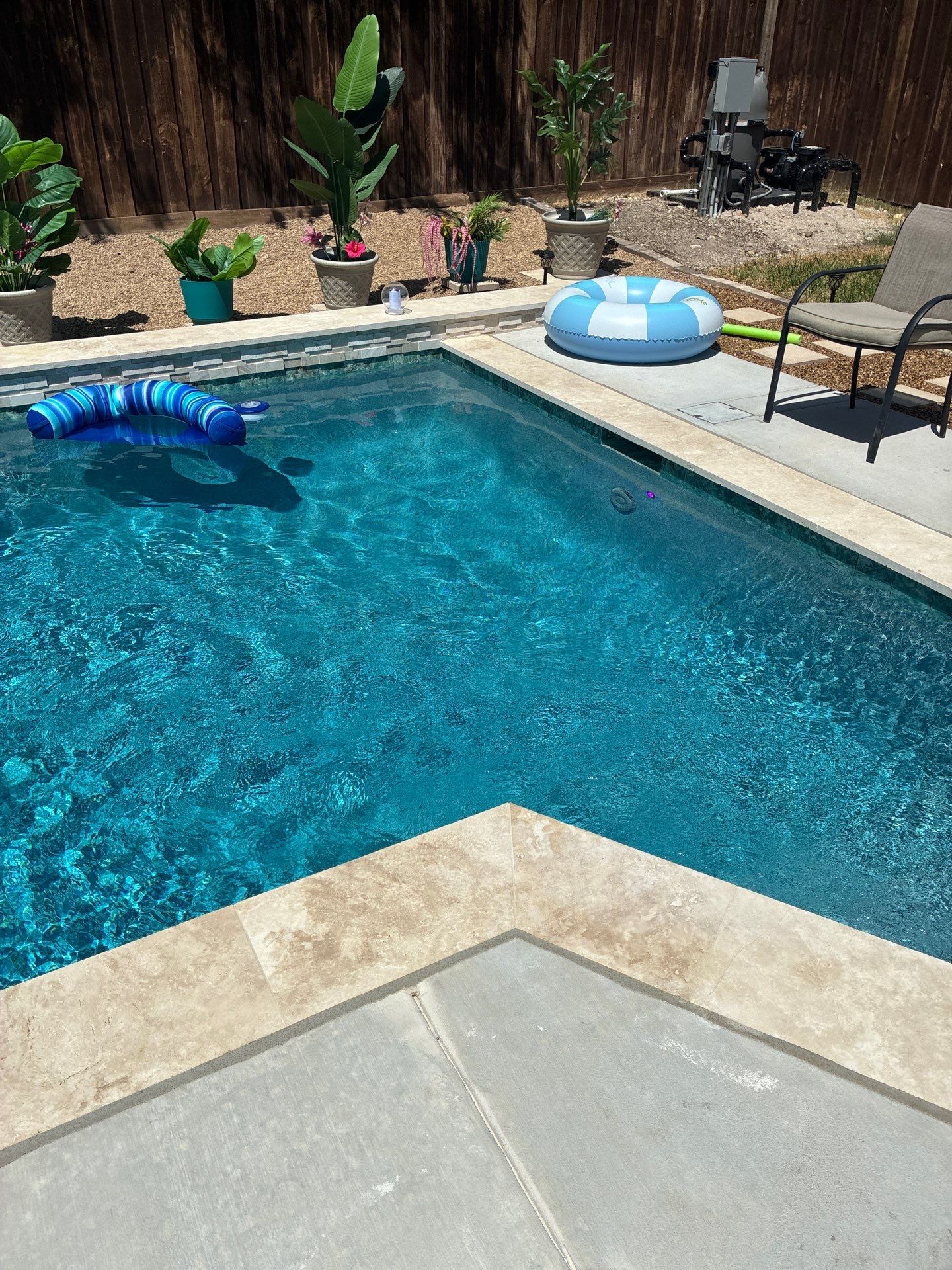 Modern Geometric Pool with Travertine Coping and Lush Landscaping by Pinnacle Pools and Spas - DFW