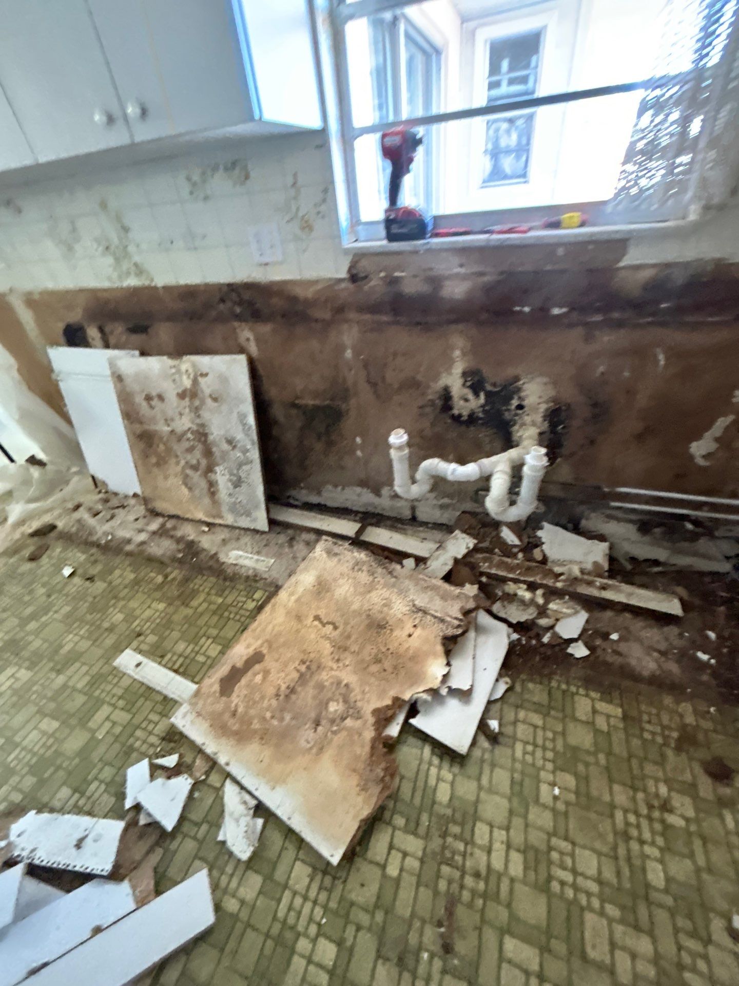 Mold Removal In Bradenton FL  by Ampm Restoration Services 
