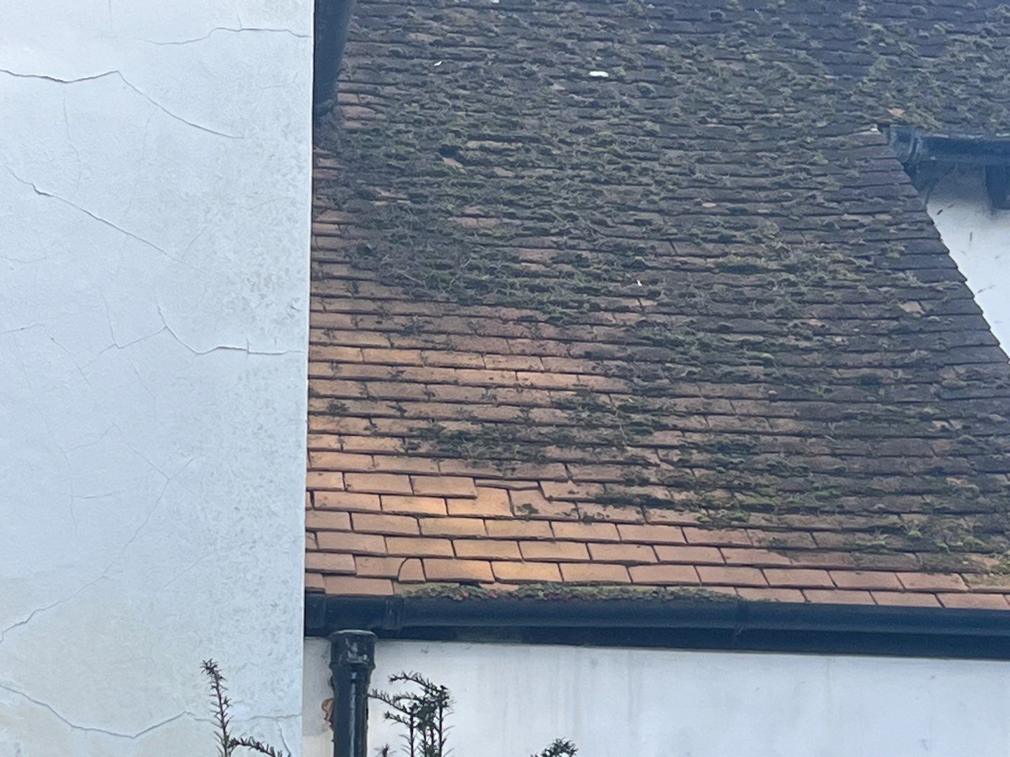 Roof Clean  - Moss Removal - Gutter Clean using Honda 15lpm Low Pressure Washing Machine by Ges Exterior Cleaning ltd