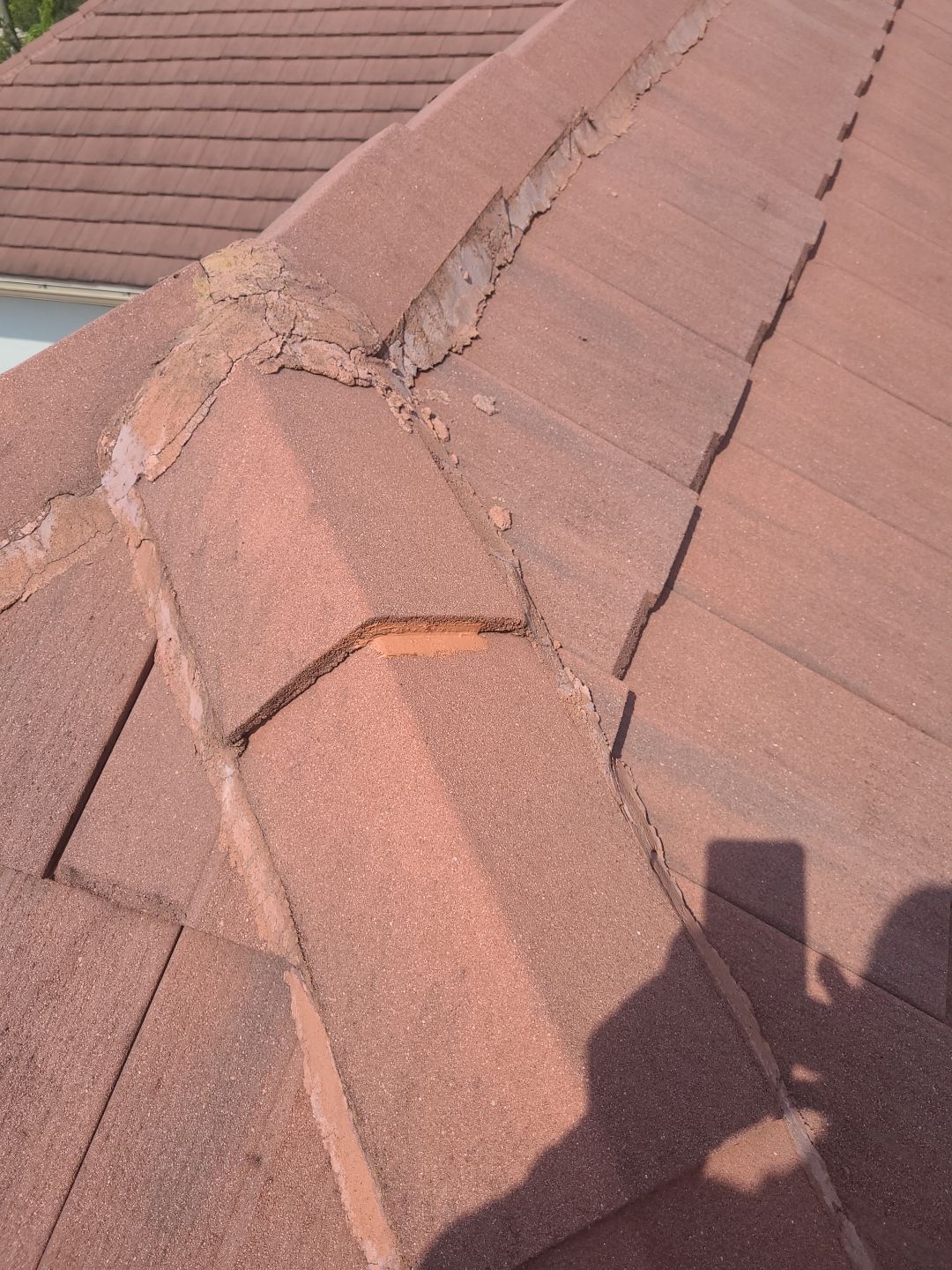 Tile Roof Repair in Wellington – Expert Craftsmanship & Reliable Service by Aastro Roofing