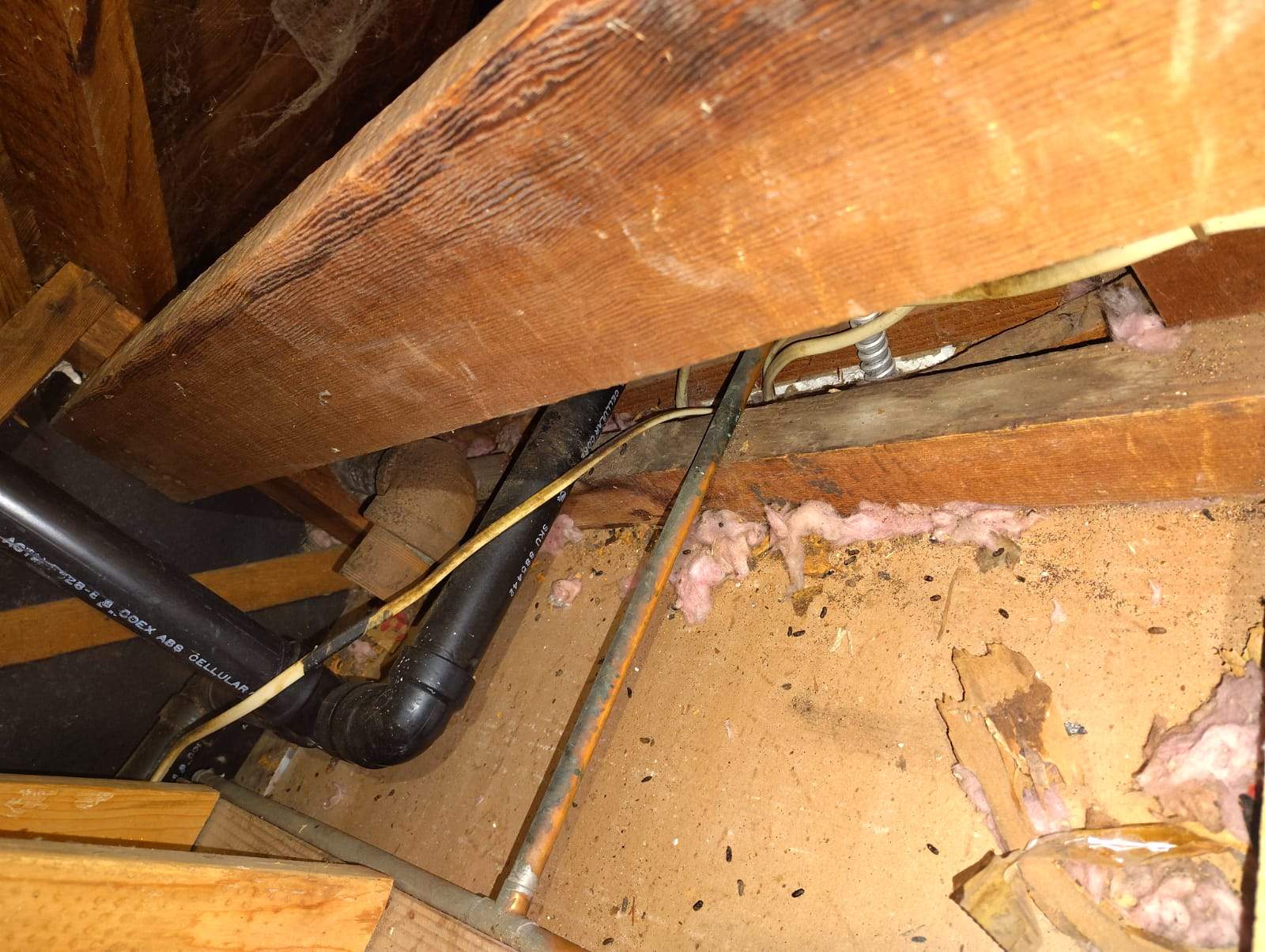 Project by Advanced Attic Solutions by Advanced Attic Solutions