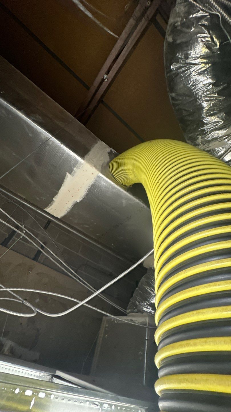 Air Duct Cleaning in Orlando by Hygienic Air, Inc