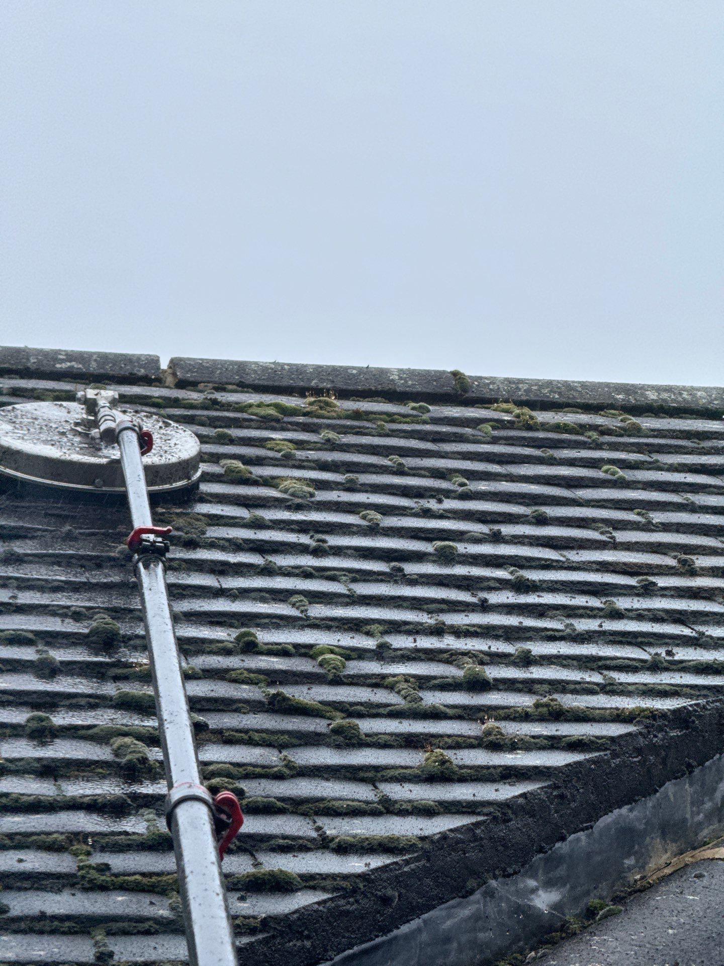 Commercial Roof Clean -Block Of Flats using Honda 15lpm Low Pressure Washing Machine by Ges Exterior Cleaning ltd
