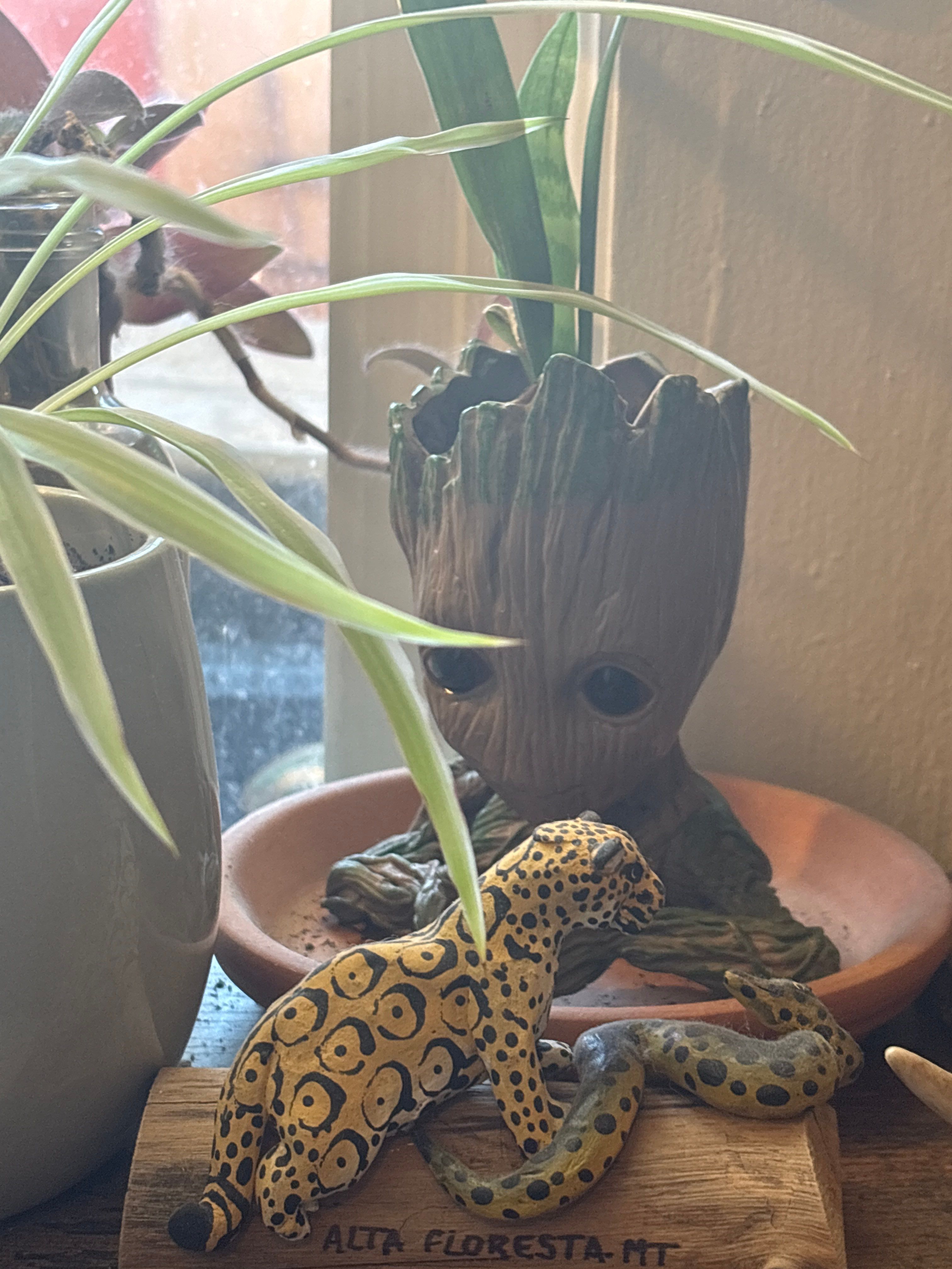 Drew's House by CompanyCam | Account Management Demo Account