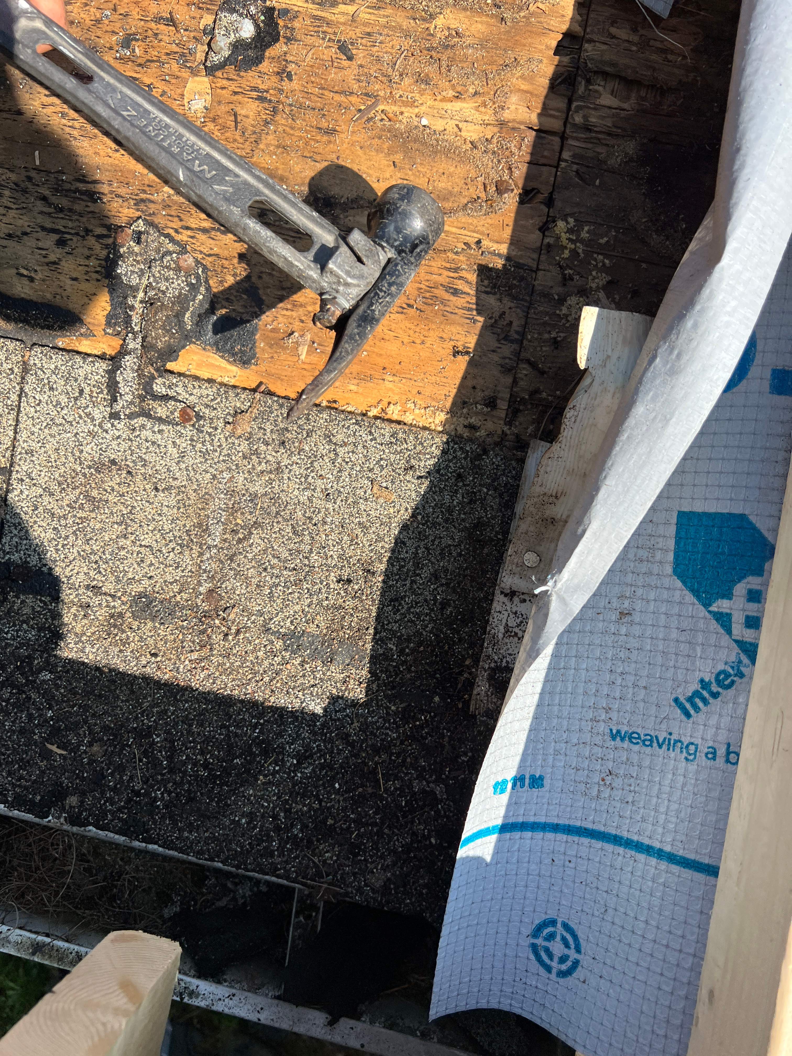 Screenroom Roof Rebuild by Chagnon Building & Remodeling LLC