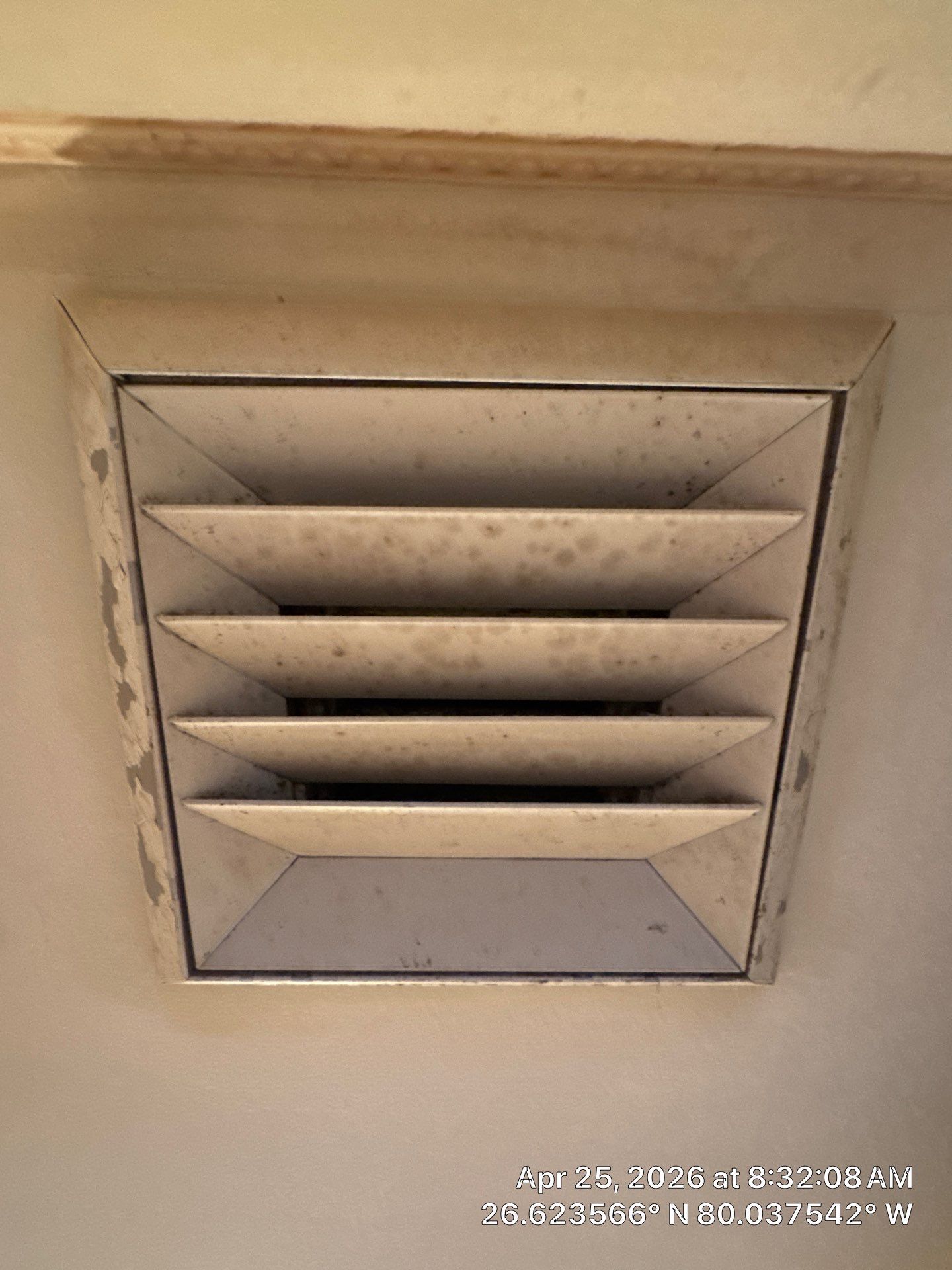 MOLD by SuperClean 
