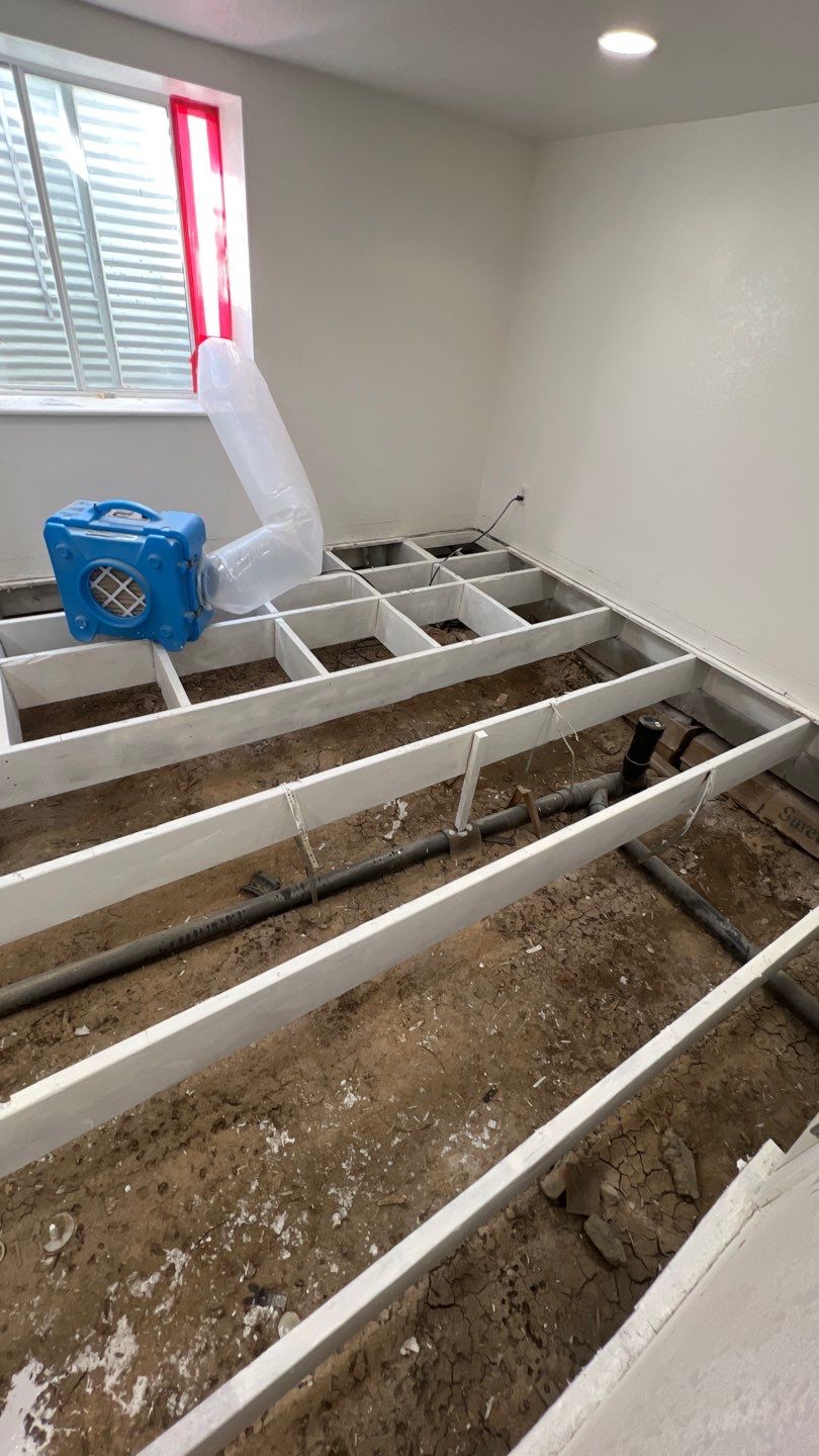 Mold Remediation by Accountable Home Services