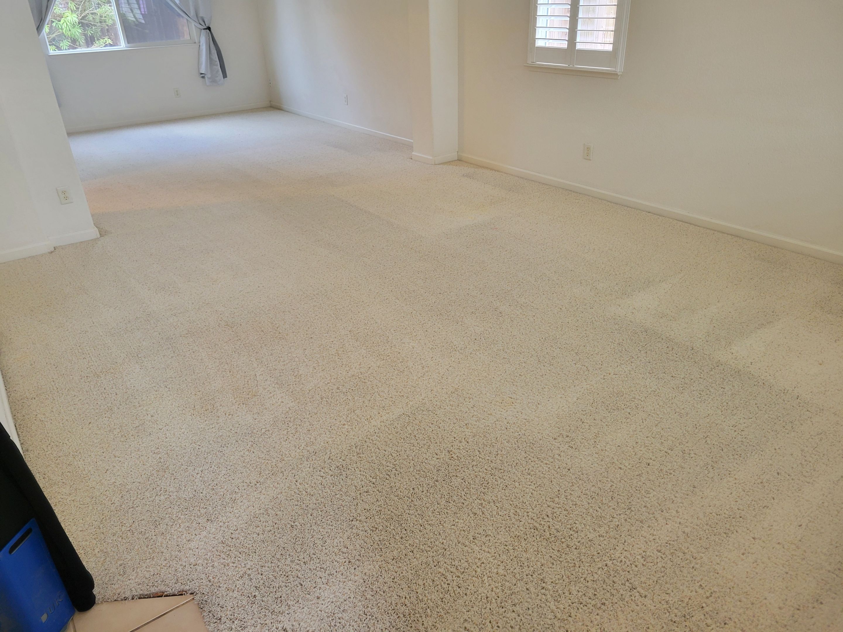 Traffic Carpet Fiber Abrasions, Cleaning by Ardent Carpet Restore LLC