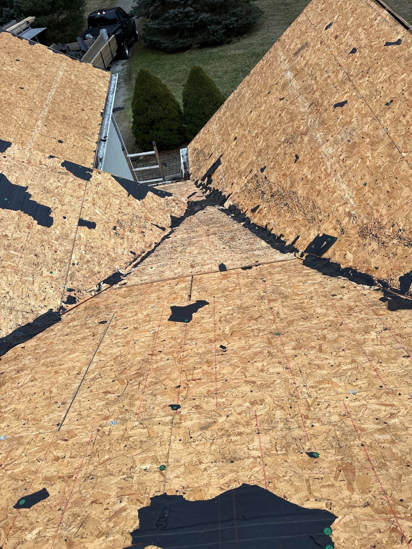 Alpha Rib, Color: Forest Green by Eagle Eye Roofing