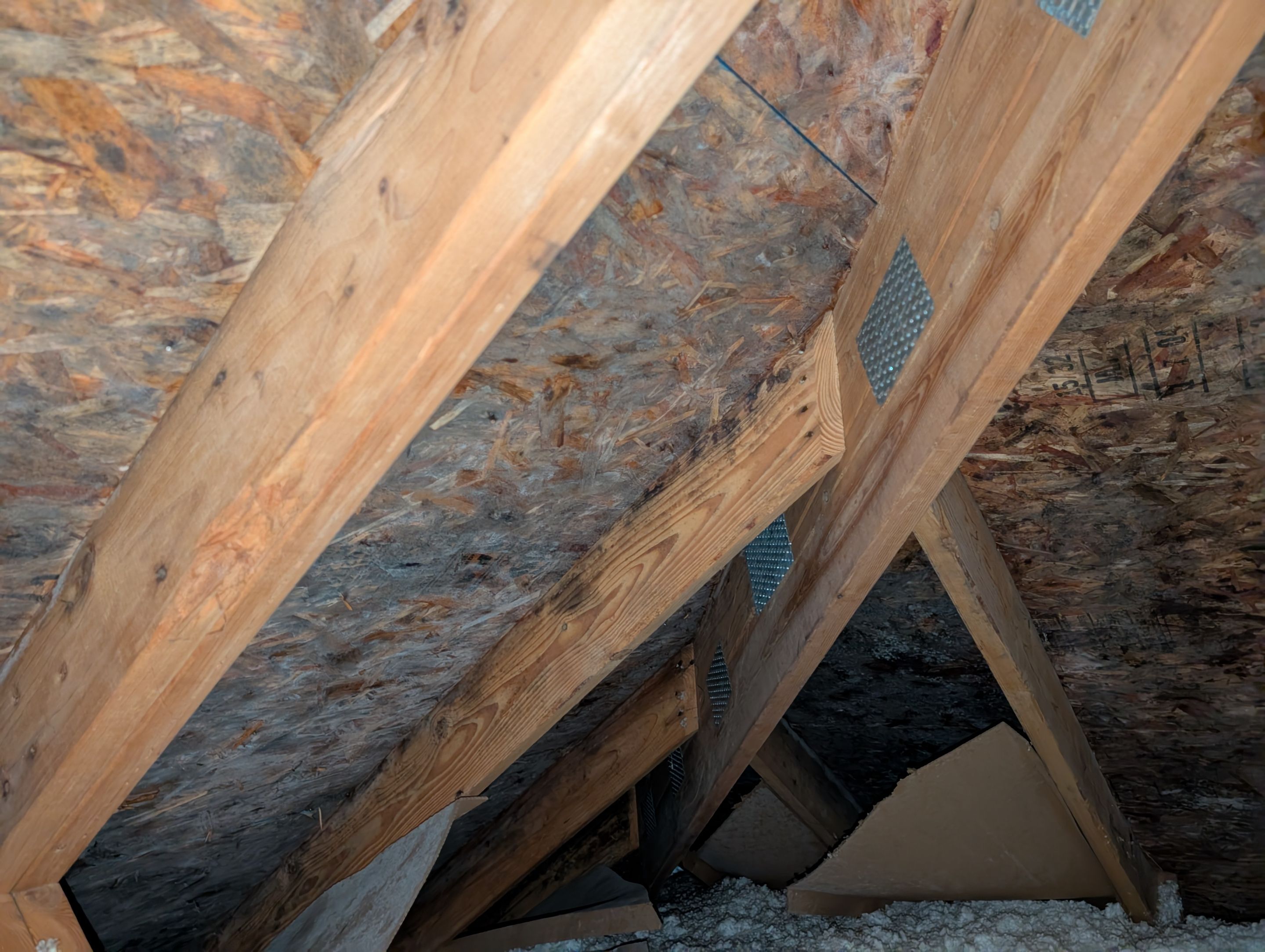 EuroShield in Sammamish by RoofSmart