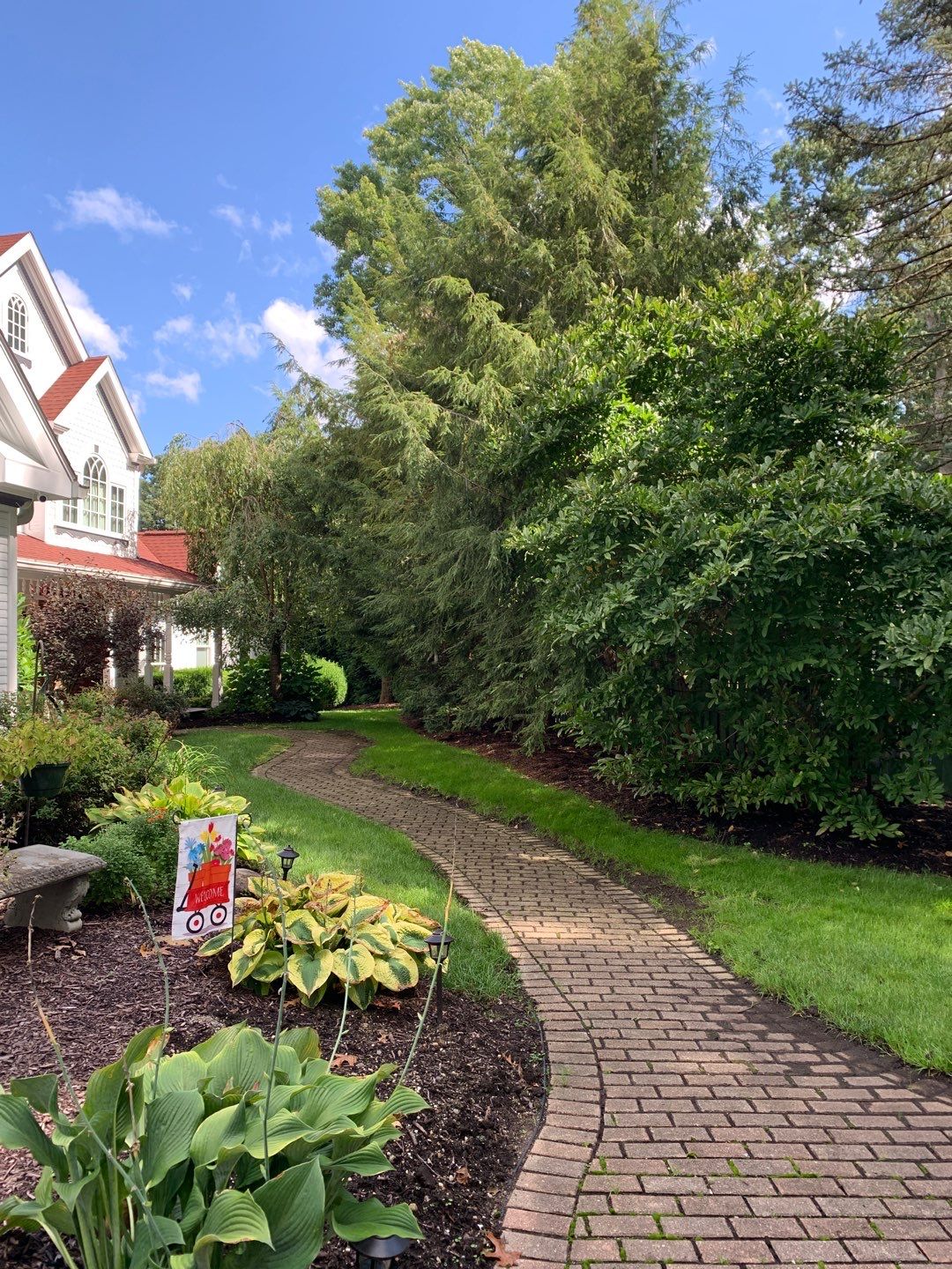 Tree Trimming using Tree Pruing by Mike Jones & Sons Tree Service LLC 