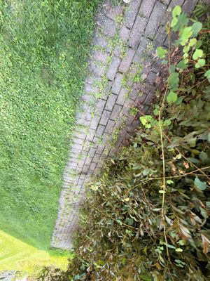 Window Cleaning in Springfield, NJ — Gallo Bros job photo