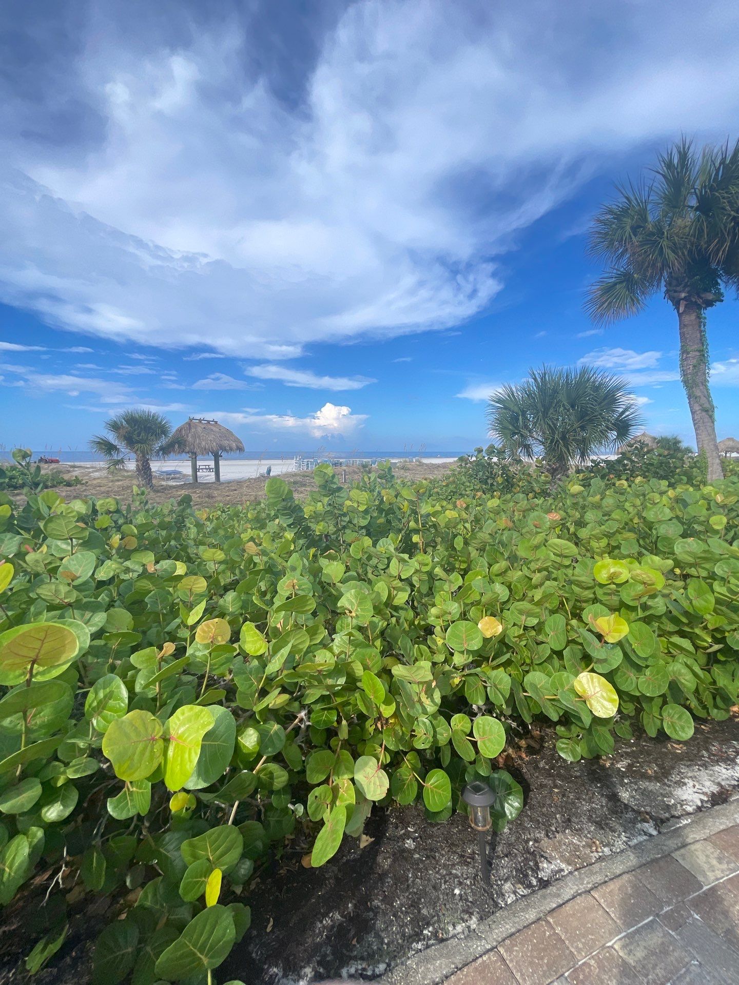 Downspout Installation in Siesta Key FL by Gutter Professors