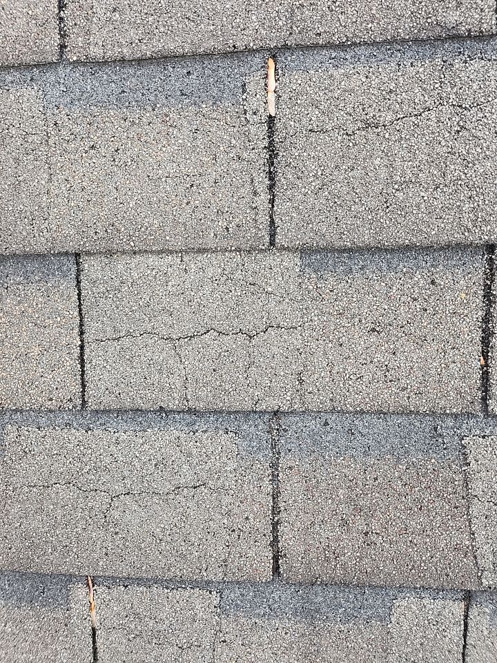 When a Tree Falls on your Roof!  by Georgia Roof Advisors