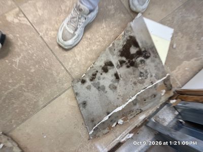 Sewage Backup Cleanup — Bonita Springs, FL