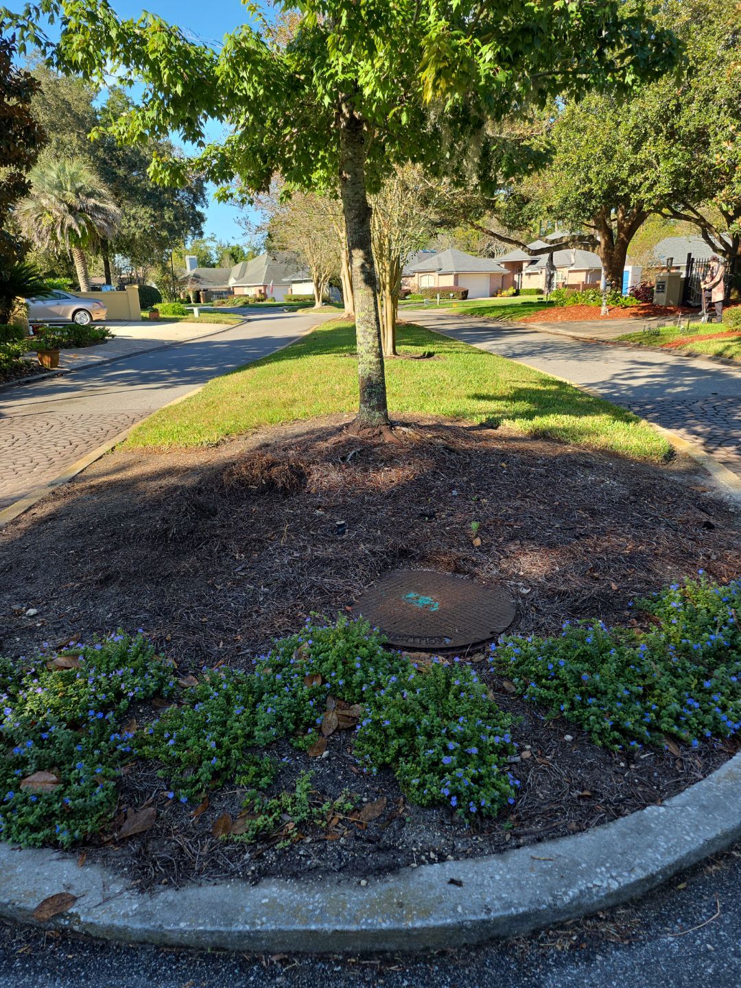 Deerwood Community | Island Landscaping by ProGreen Services
