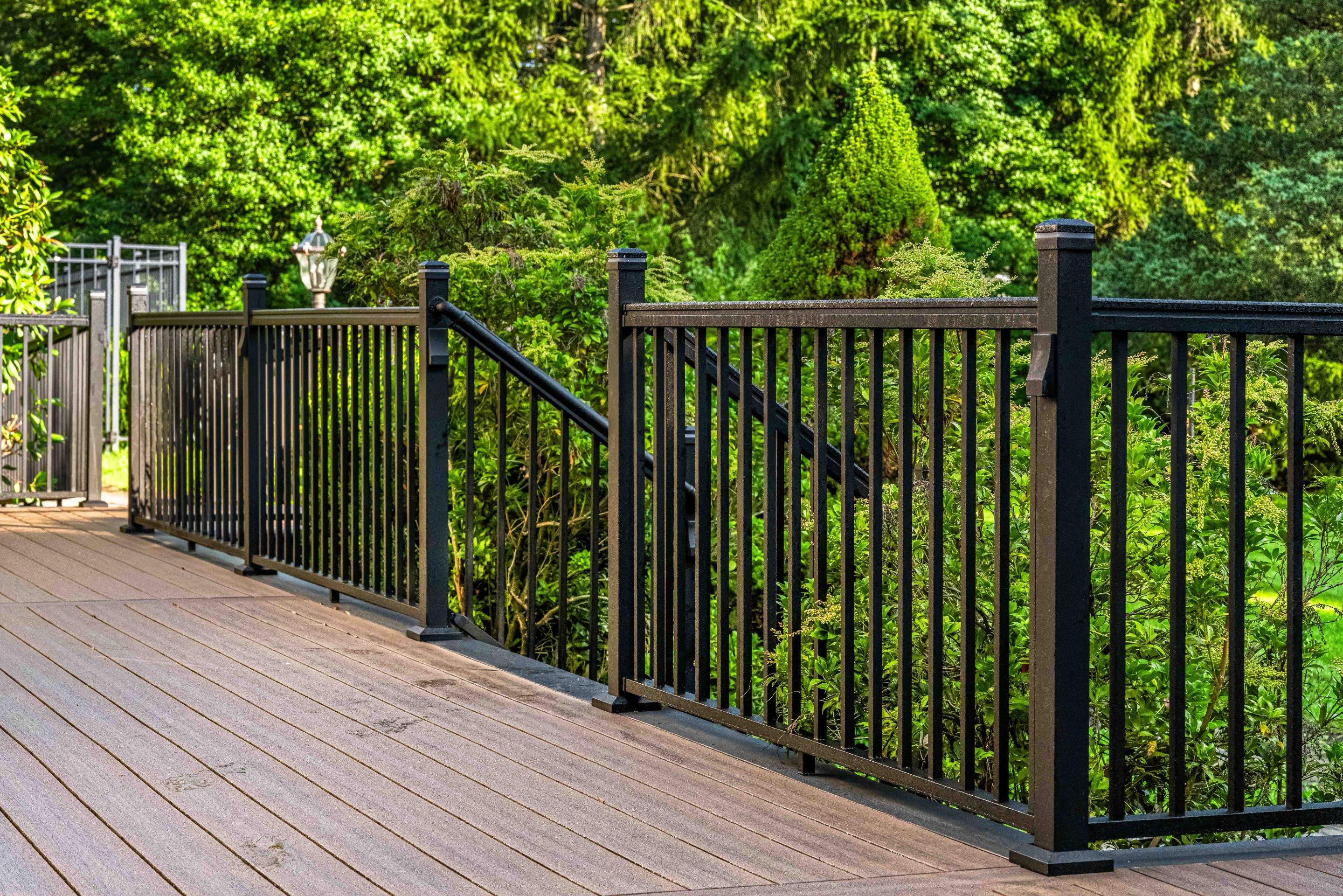Peter - Bernards NJ by deck guardian