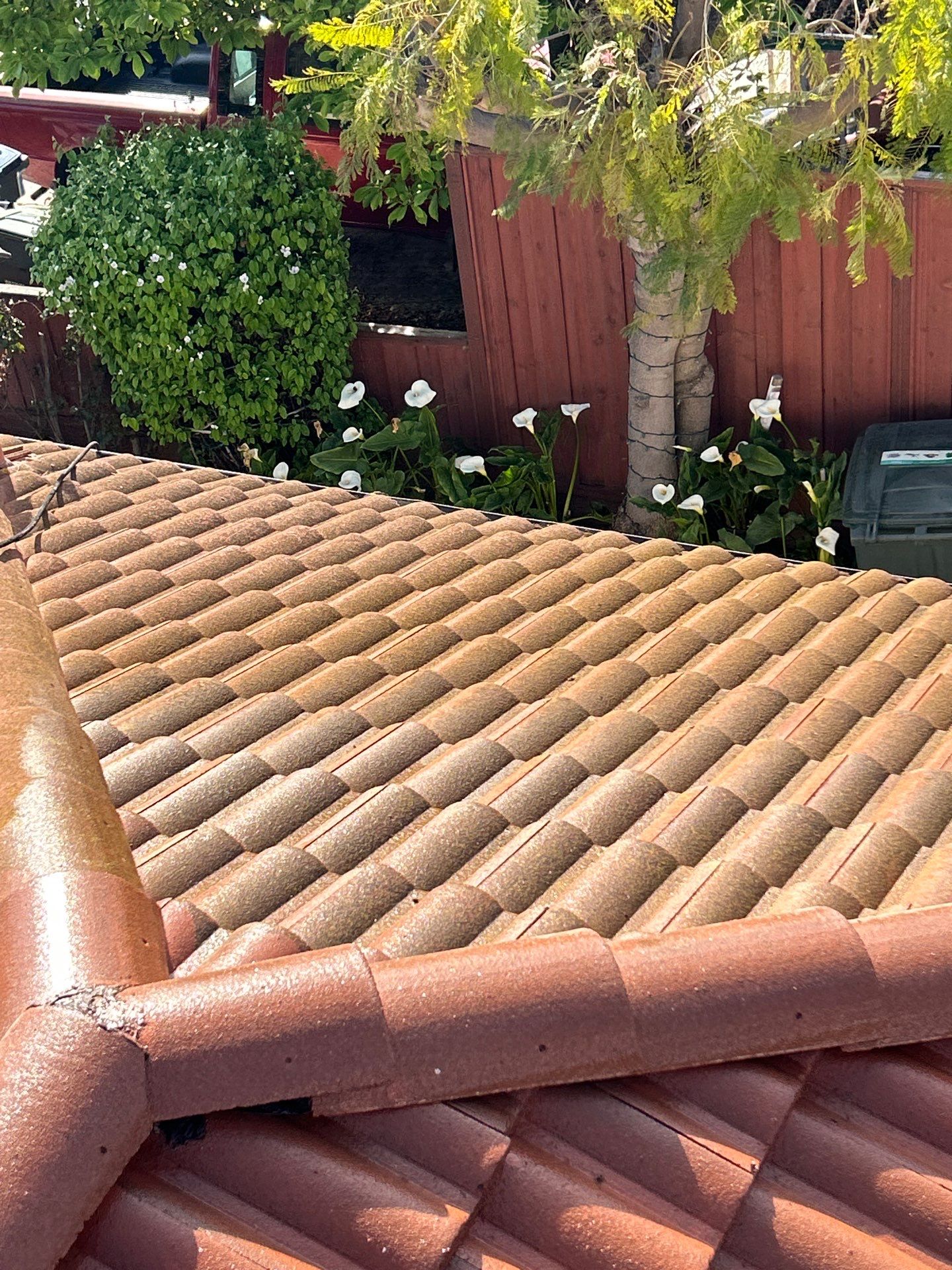 Roof Cleaning-Insurance Renewal by All One Solar Shine