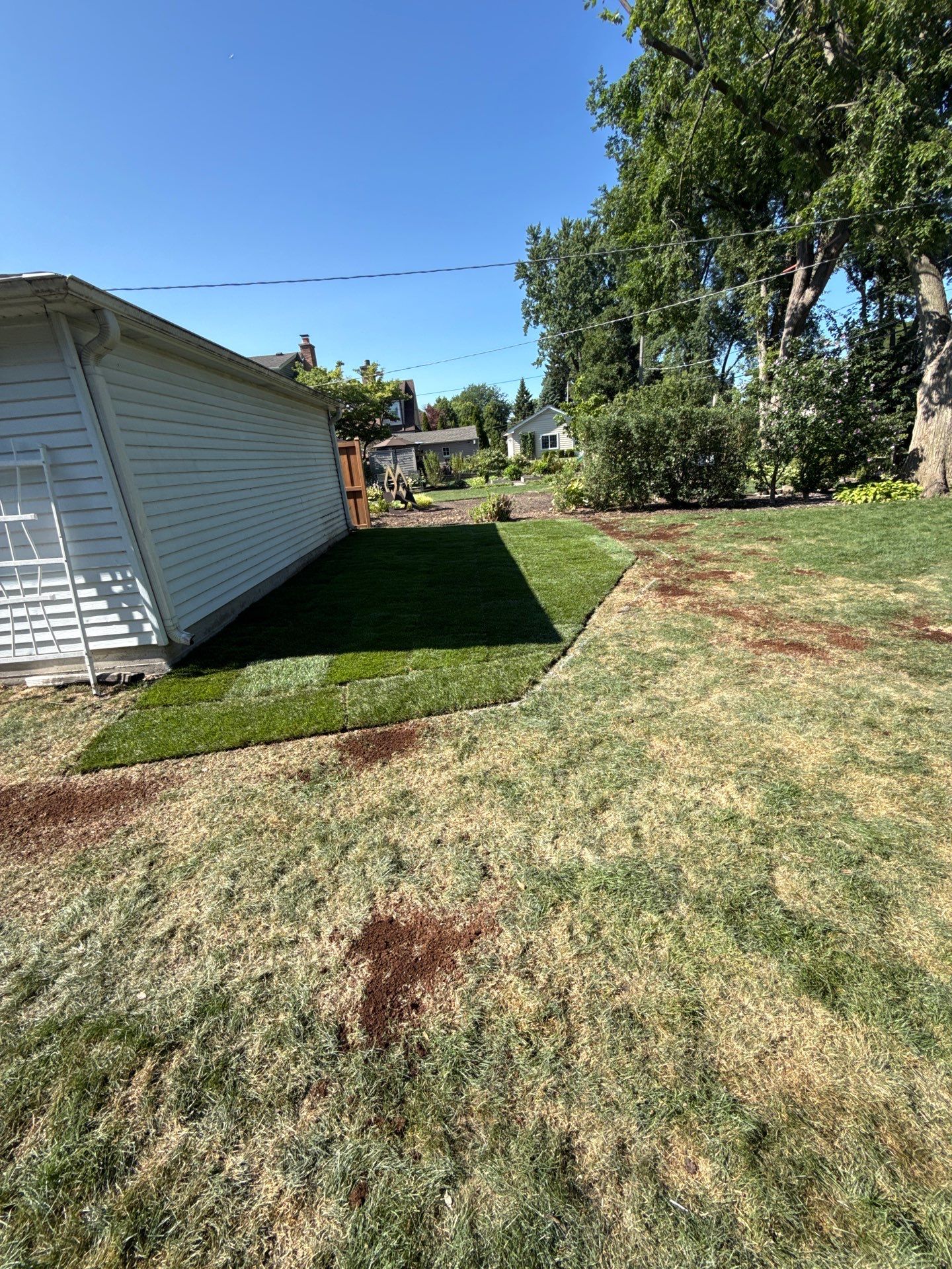 Michael A. - Mount Prospect, IL by A&N