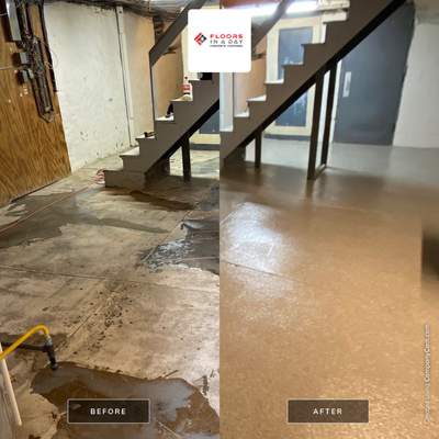 Cat Hospital Project in Pittsburgh