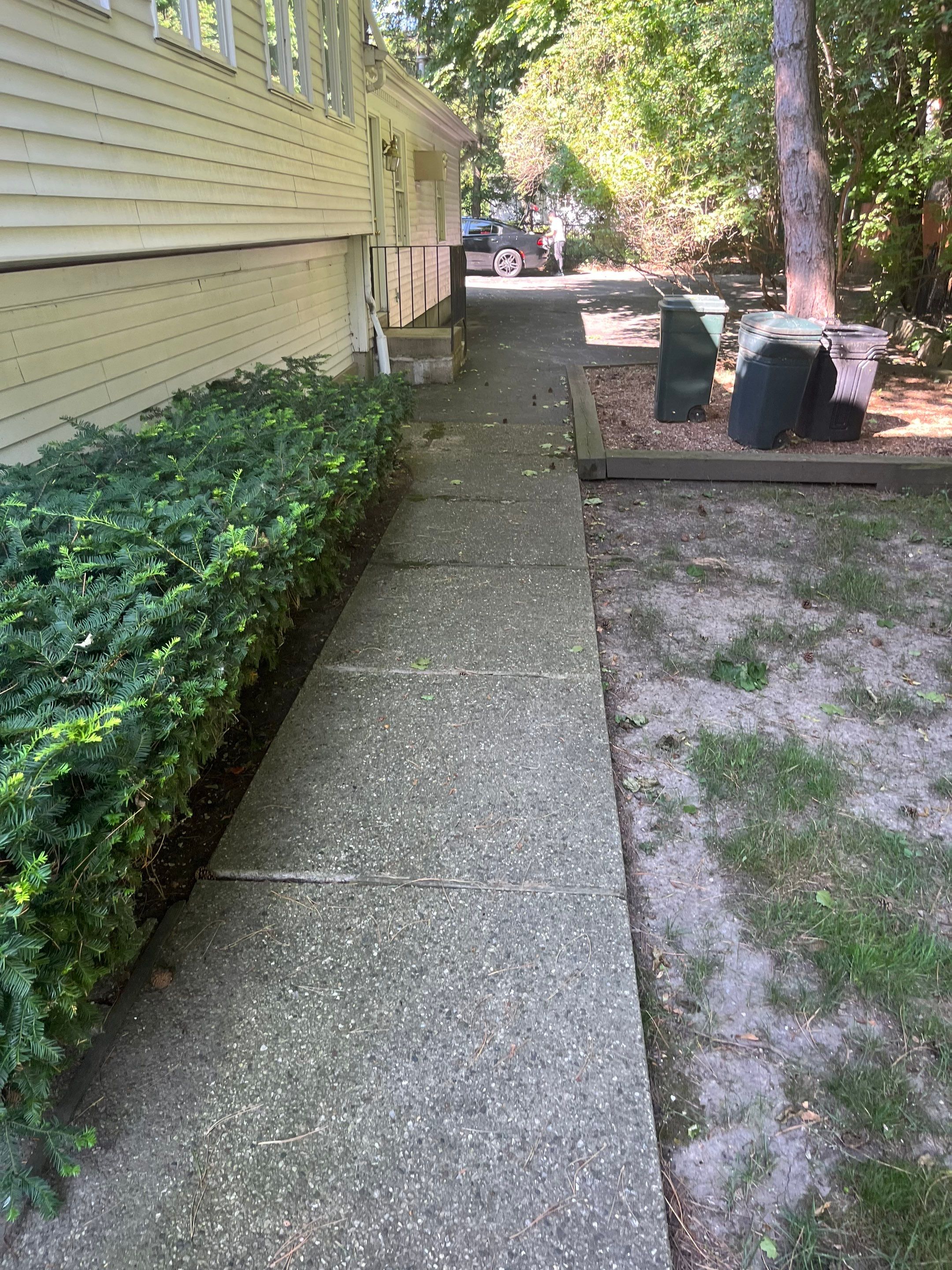Housewashing  using Algaecide, soft wash soap by Northern Power Washing LLC.