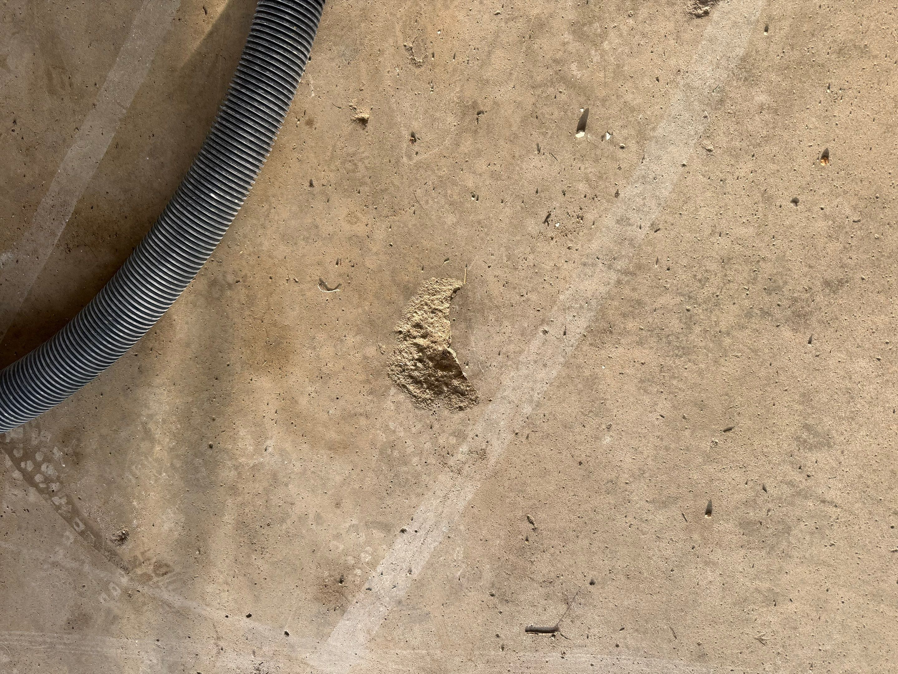 Feather Grey Garage Floor Coating and Crack Repair in Beresford by Select Painting, Coatings & Garage Cabinets