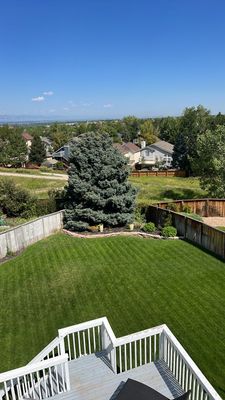 Project in Littleton