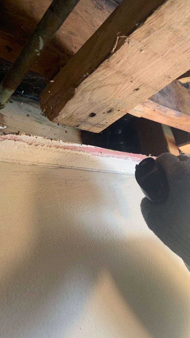 Ceiling & Shower Repair by A1 NERDY HOMES LLC