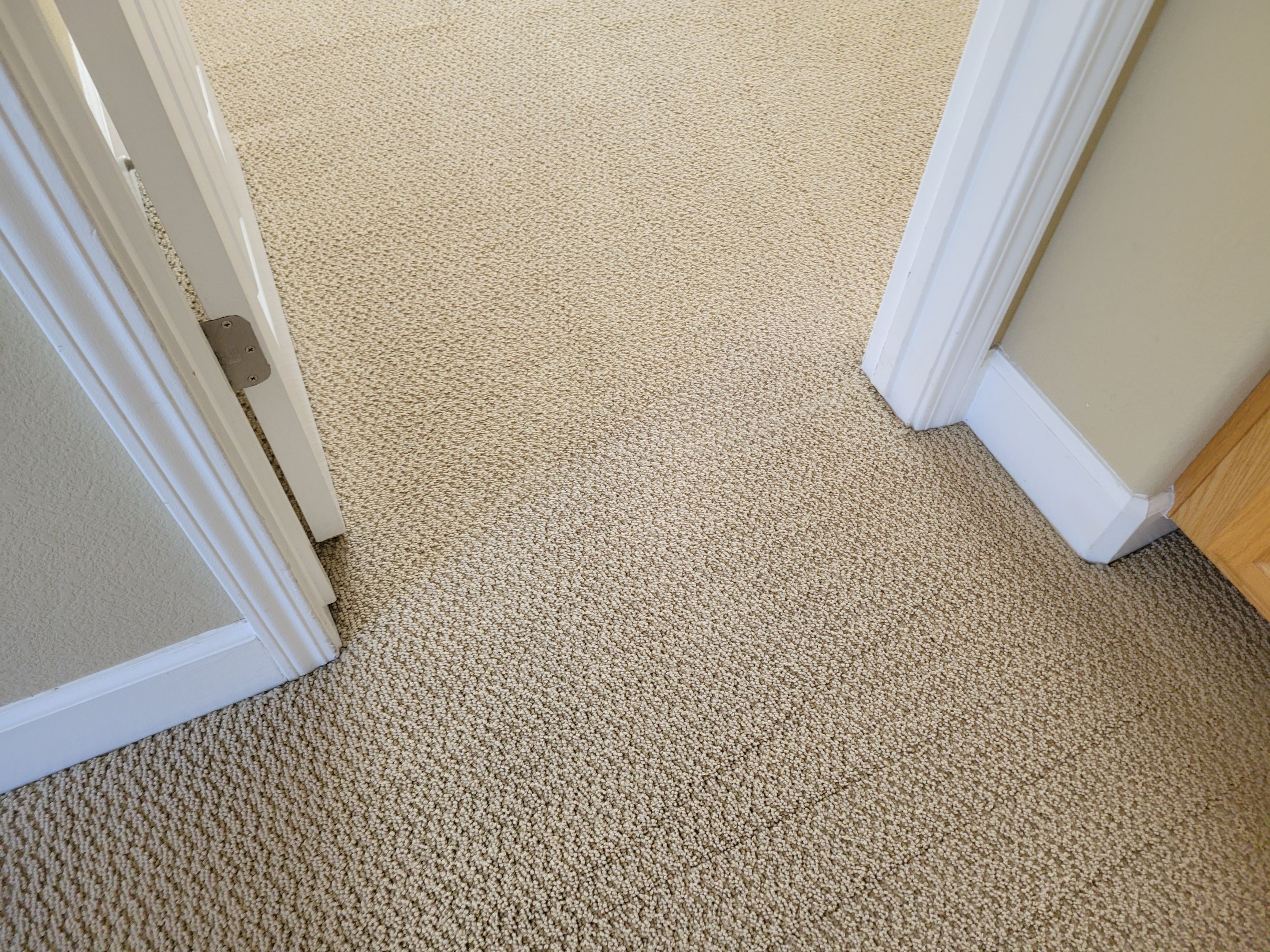 Looped-pile Carpet Cleaning by Ardent Carpet Restore LLC