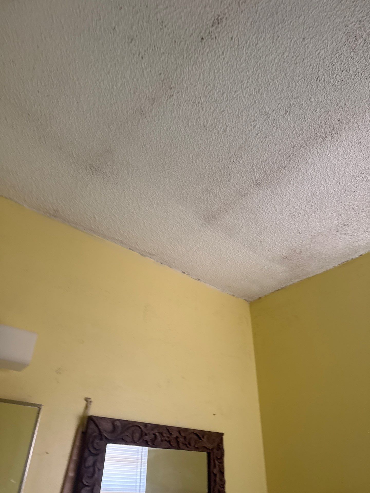Roof replacement, gutter and interior repair by hail damage by Just Brilliant Restoration JBR