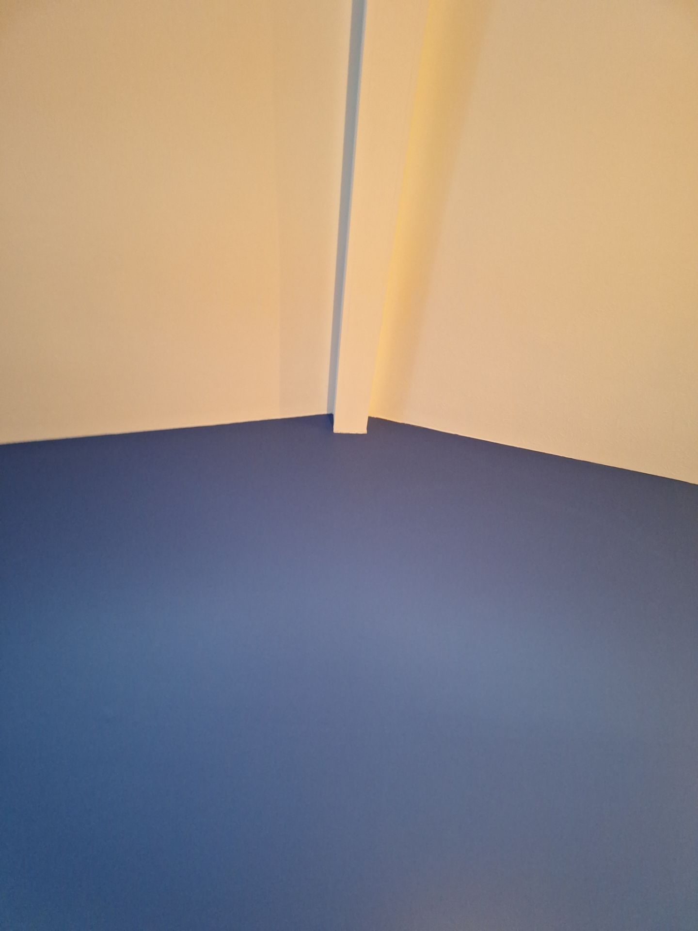 Ceiling Painted by Gordon Painting