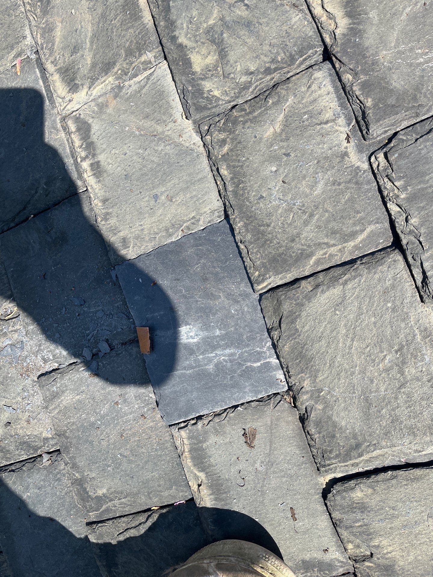 Arlington: Buckingham Slate and Carlisle Syntec TPO Roof by RM Banning, Inc.