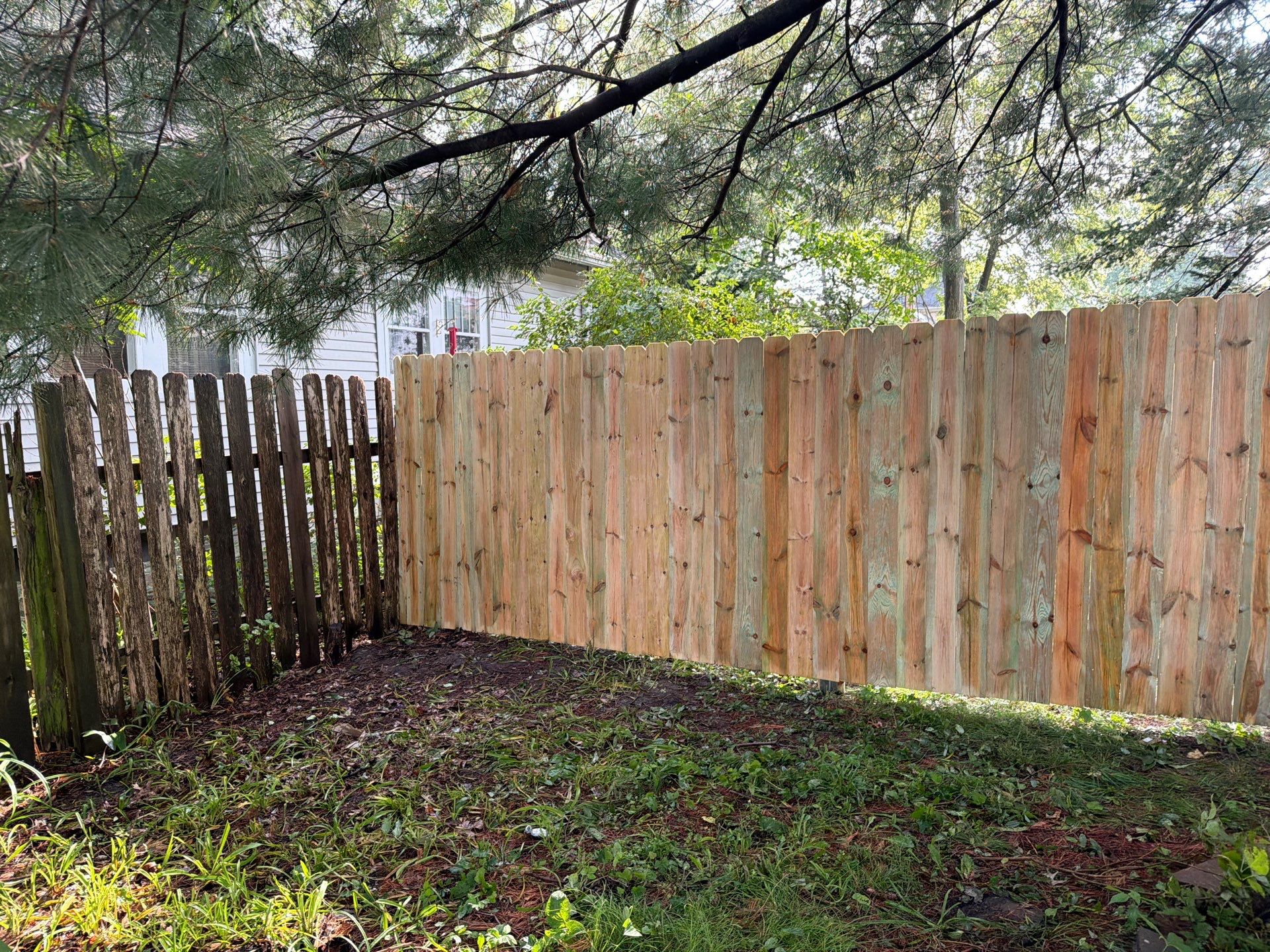 Pressure-Treated Pine Privacy Fence Installation in Cedar Falls by Perfect Picket Fence and Stain