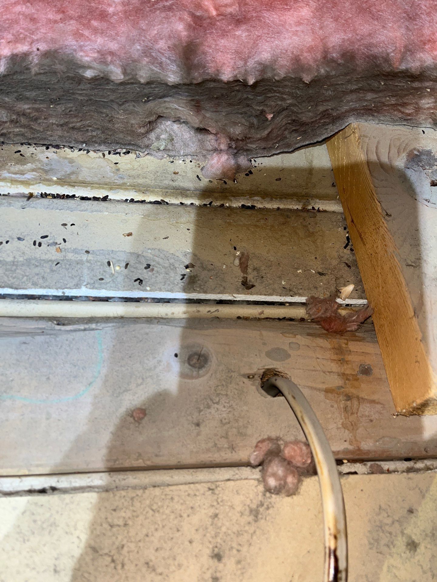 Attic Insulation and Air Sealing Upgrade in Mingo Junction by Home Environment Solutions