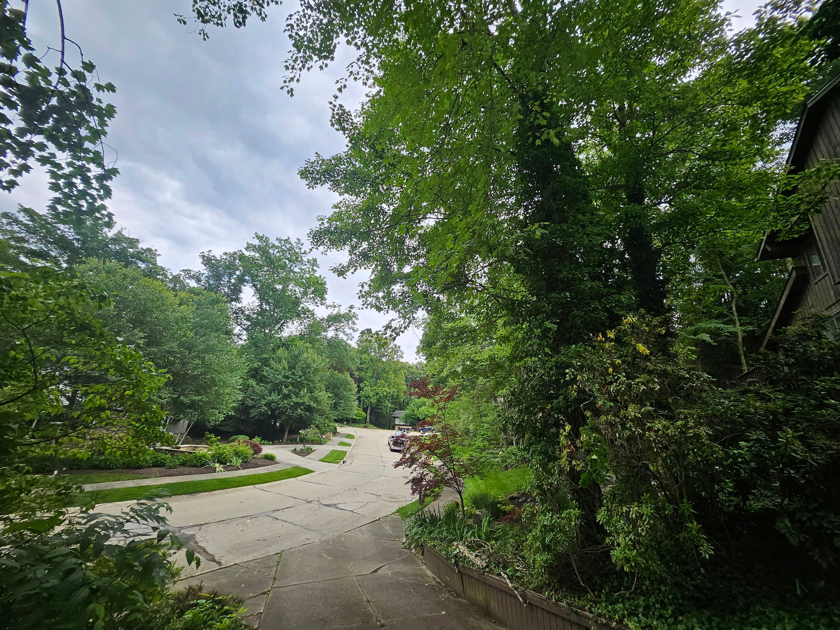 Tree Trimming using Tree Pruing by Mike Jones & Sons Tree Service LLC 