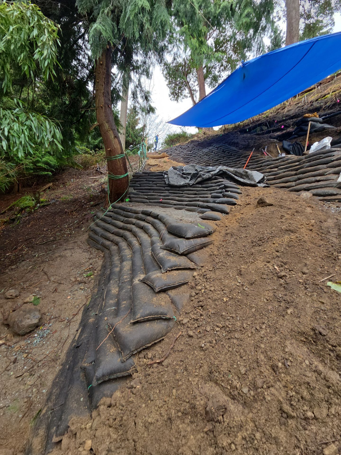 Georgia Park Terrace — Living Slope Transformation by Habanero Landscape Solutions
