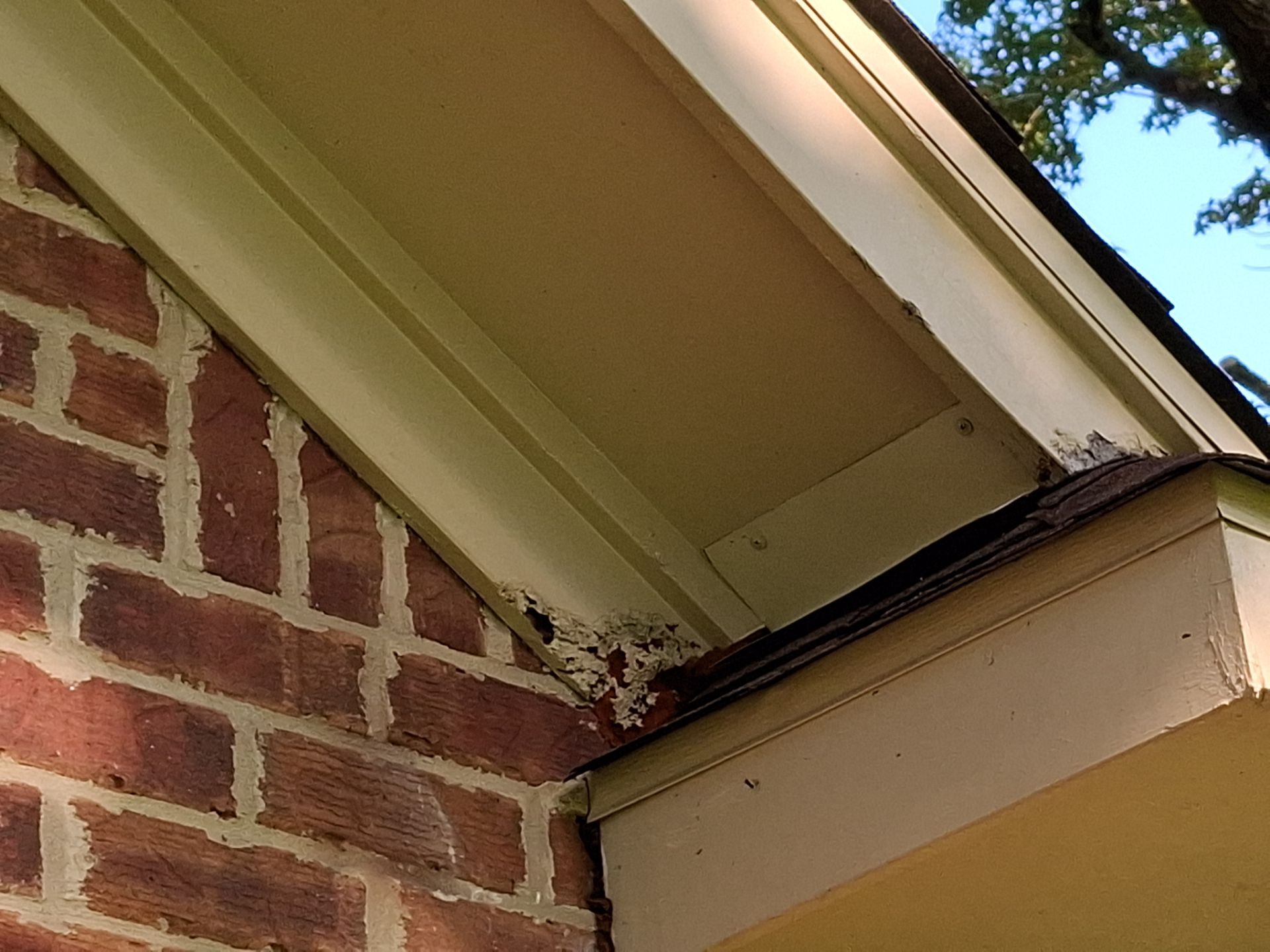 Exterior Repaint – Flint, Tx - Challenging and Rewarding by Quality Coats Painting