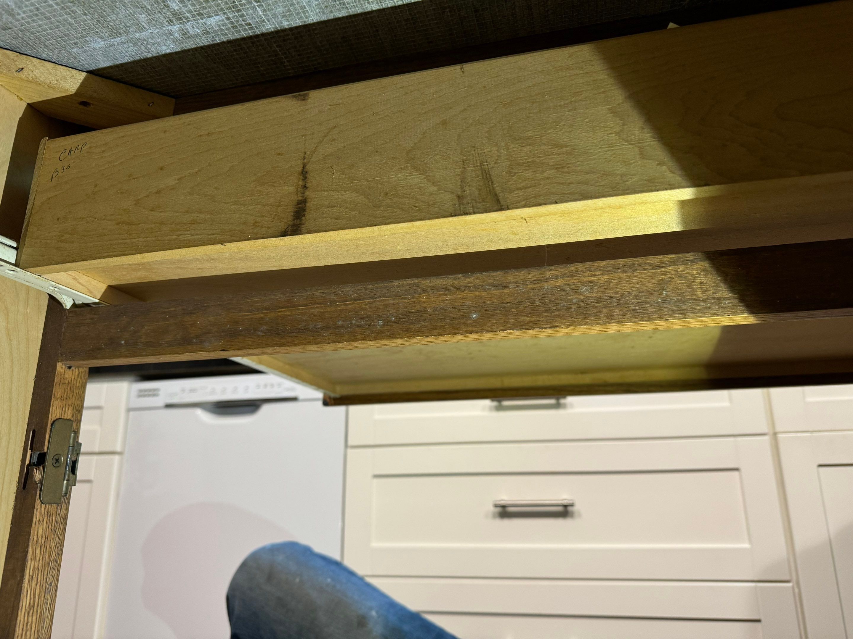 Entire Home Remediation by Home Guarantee, LLC
