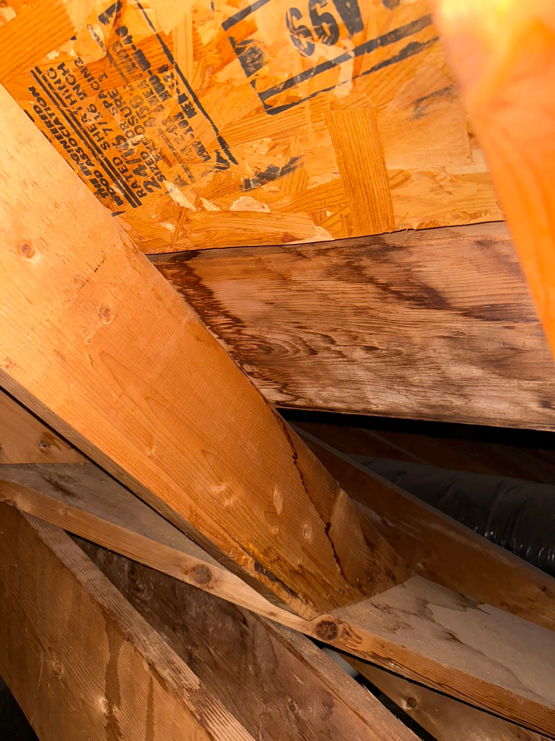 Project in Raleigh - TPO roof replacements  by Pro Performance Roofing