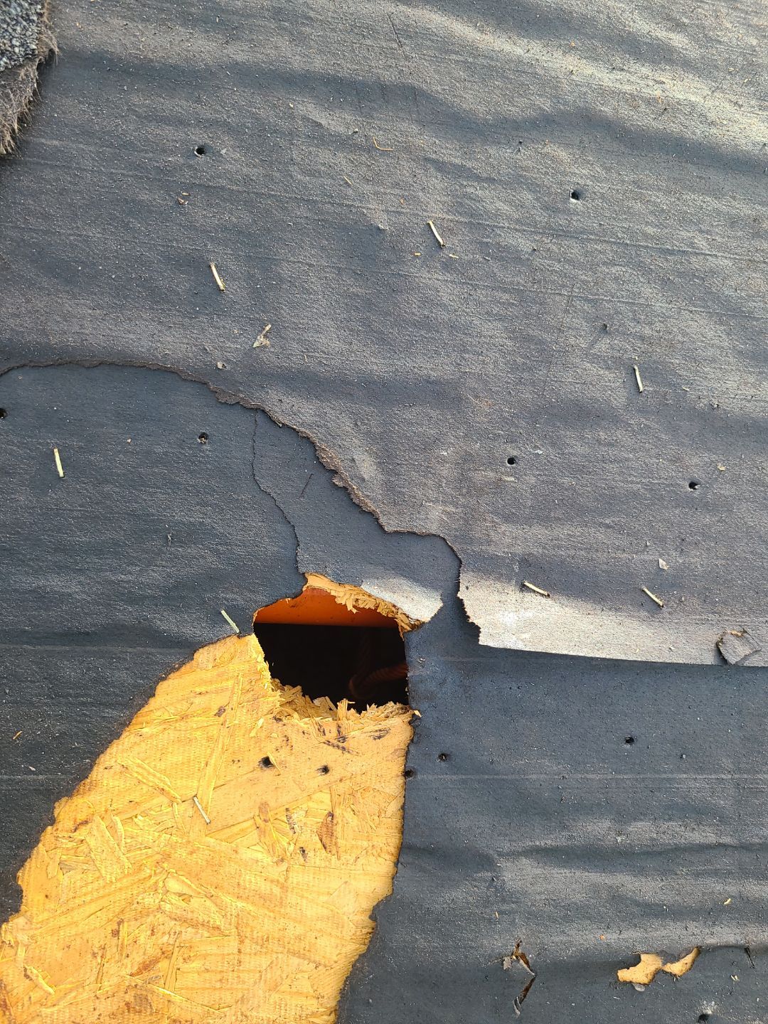 Manassas Landmark Pro Roof in Max Def Charcoal Black by RM Banning, Inc.