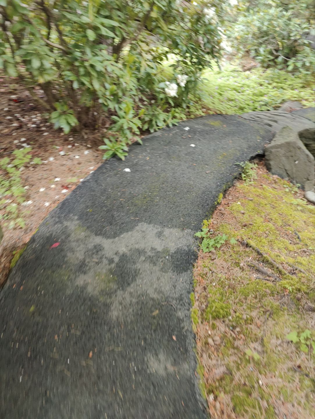 Premium Pressure Washing in Bellevue by WindowWorks