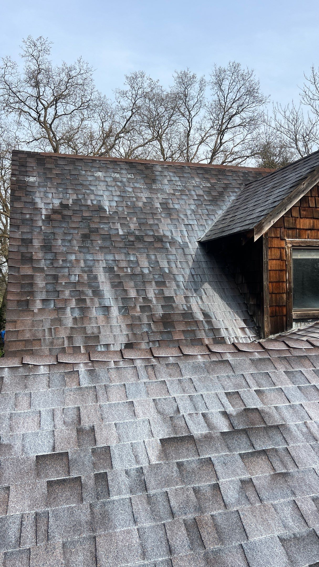 Roof Rejuvenation using Roof Maxx Treatment by Roof Maxx of Folsom