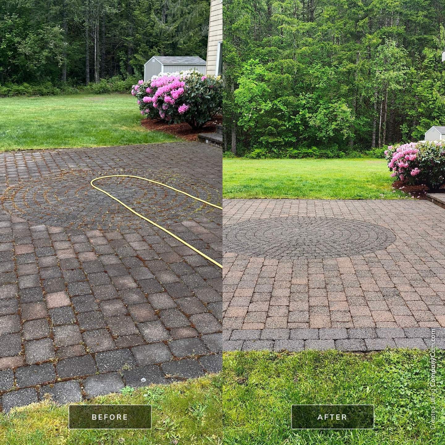 AGS Roof Wash, House Wash, Pressure Wash, Window Cleaning in North Bend by WindowWorks