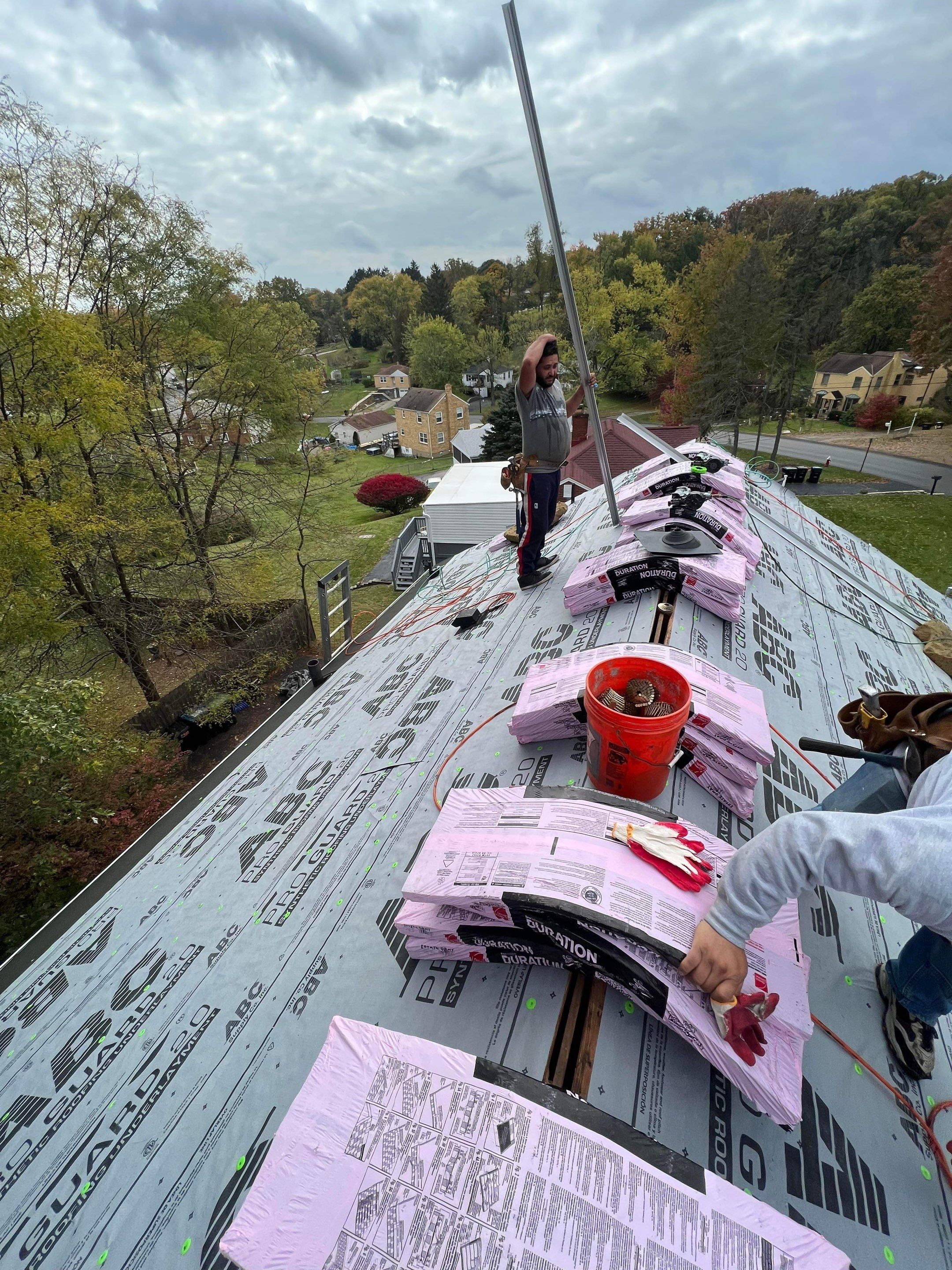 Silver Birch Shingles by Reimagine Roofing