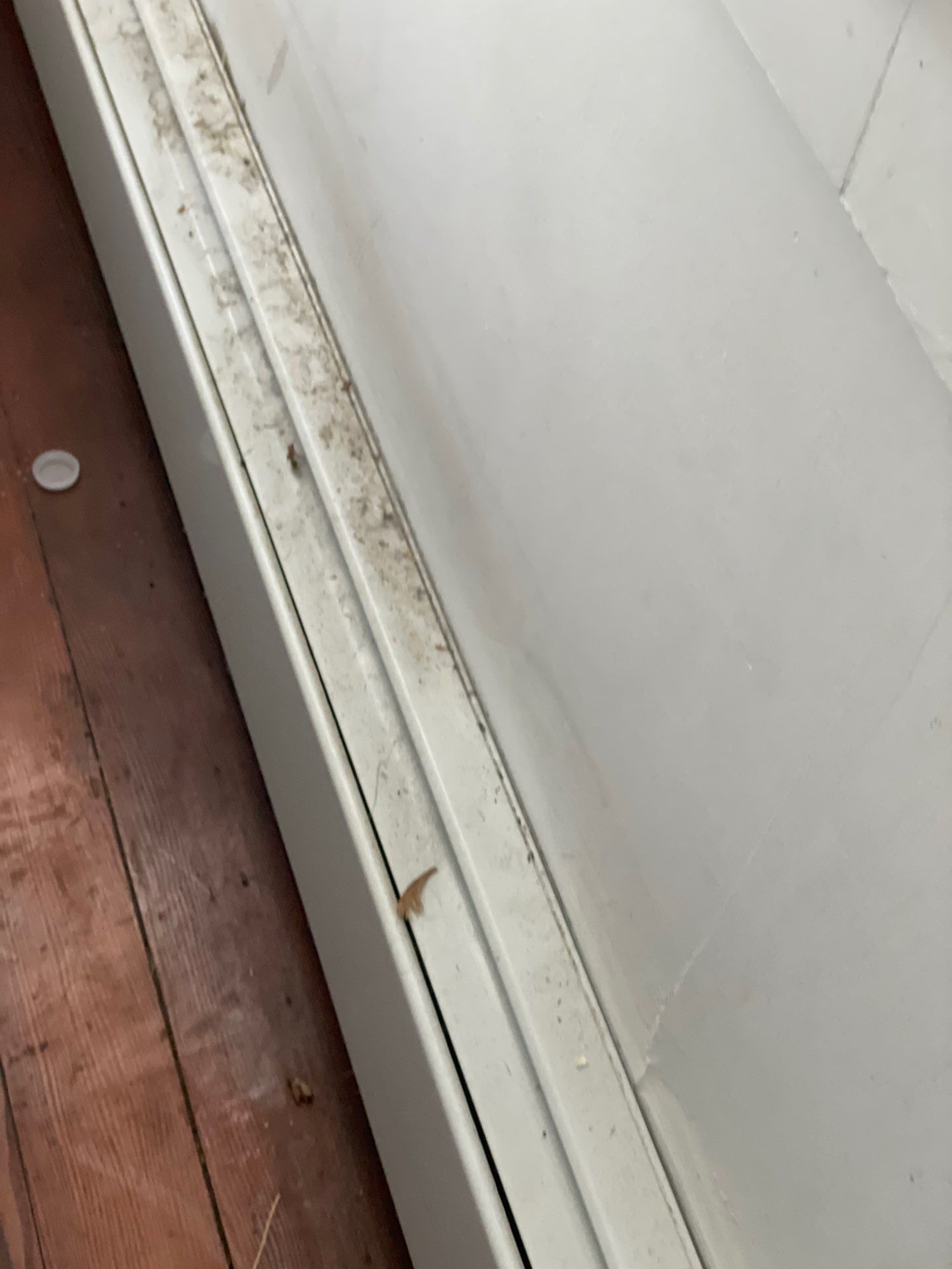 Project in Warwick by Mg House Cleaning