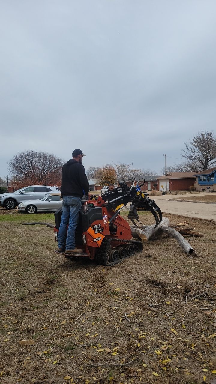 Tree Removal using Chainsaws by Clays Services Inc