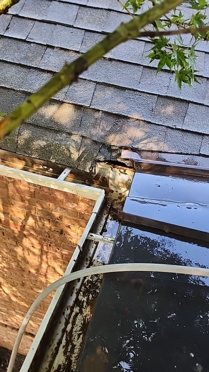 House Wash using cleaner by Power Wash Masters LLC