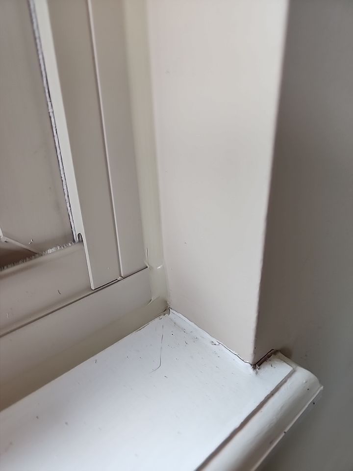 Roof and Windows! by Tamlin Roofing