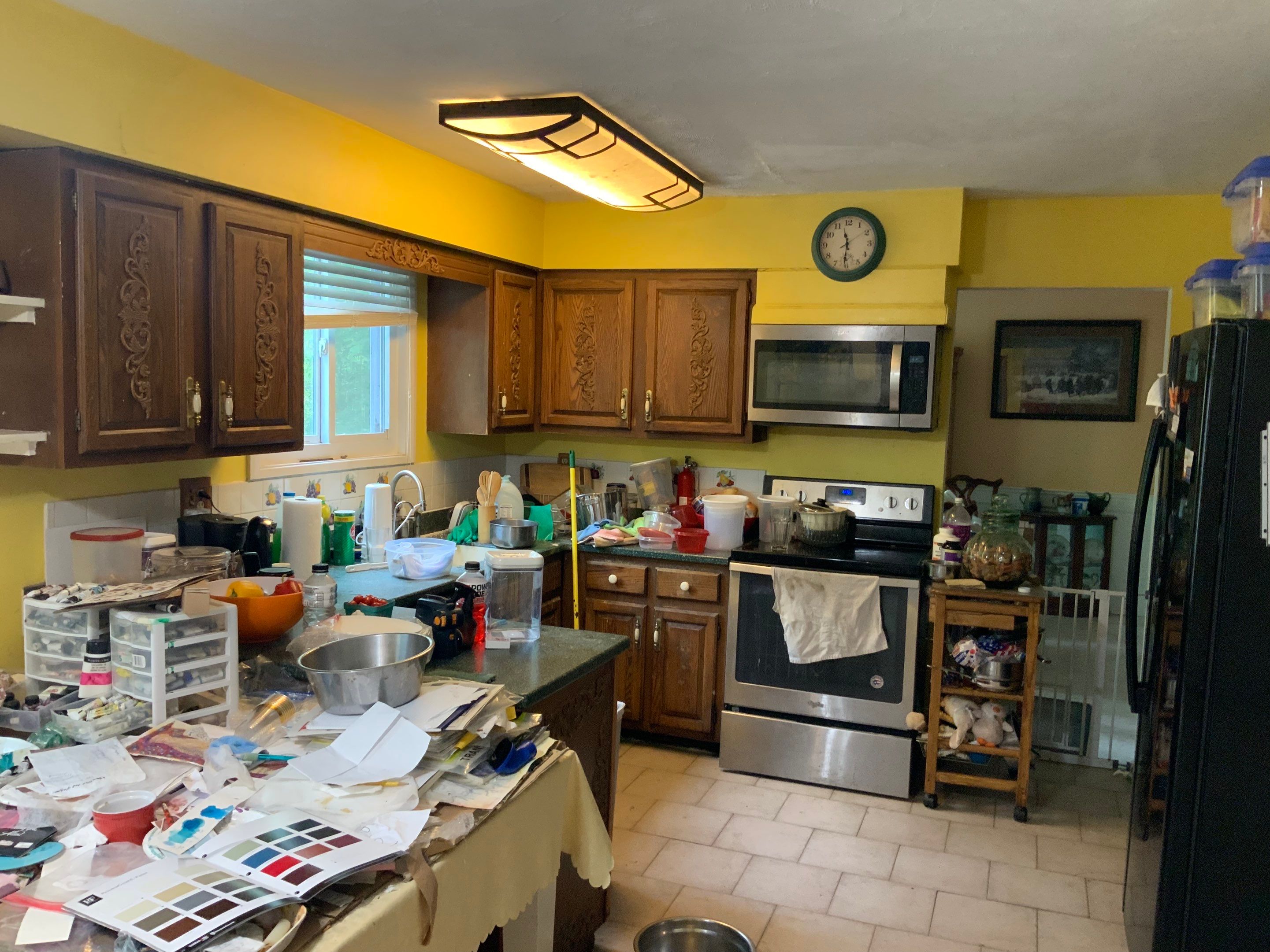 Ceiling Repair by Alpha Design Services